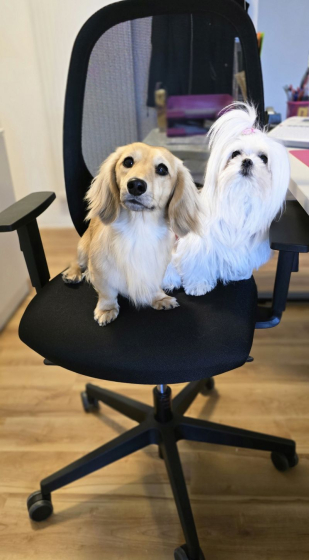 Holly und Murphy 2