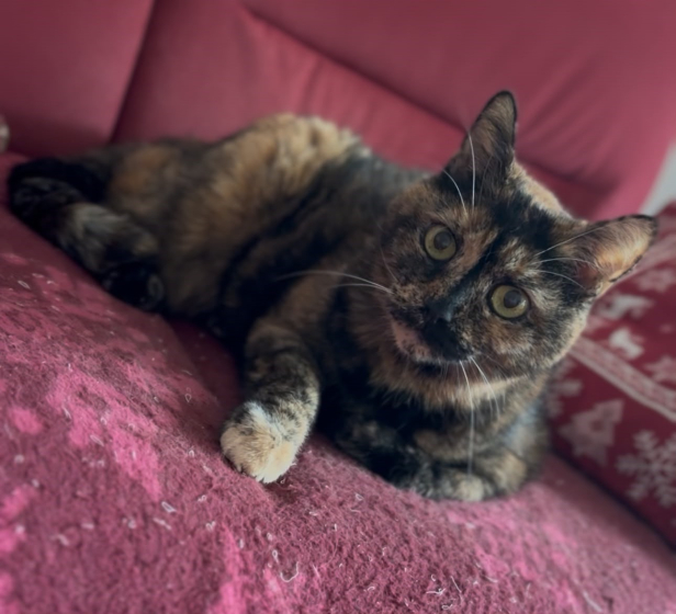 Lilli